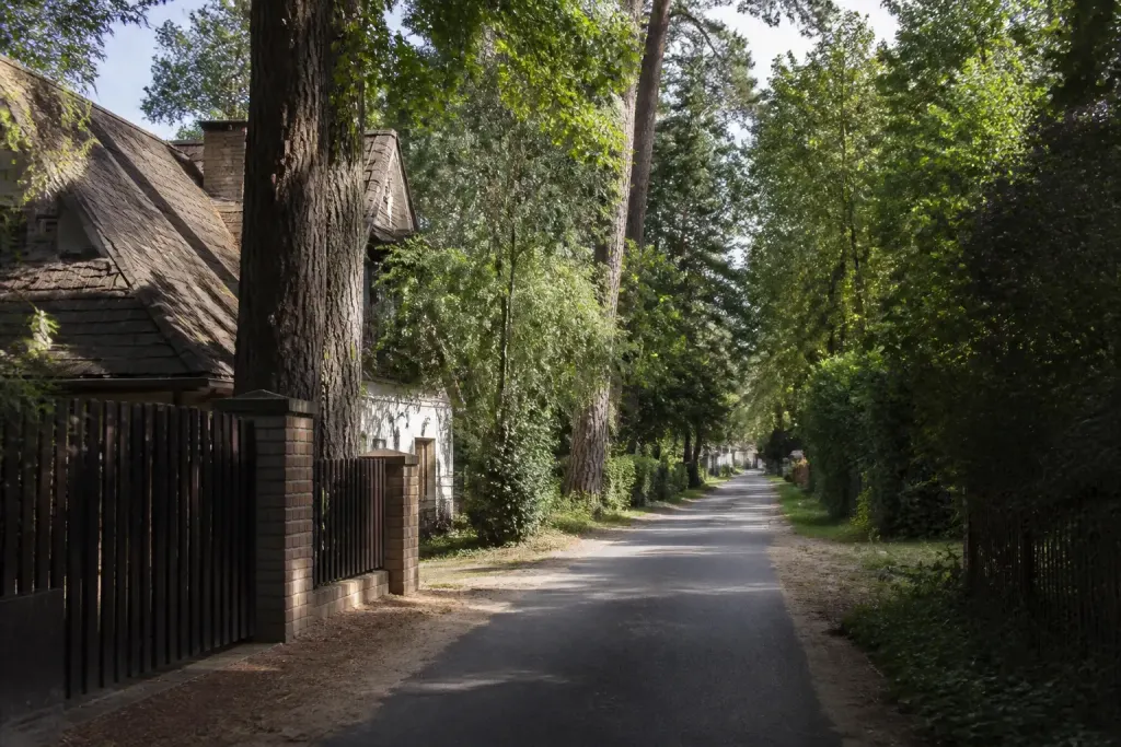 Rue calme avec maisons et arbres de foret